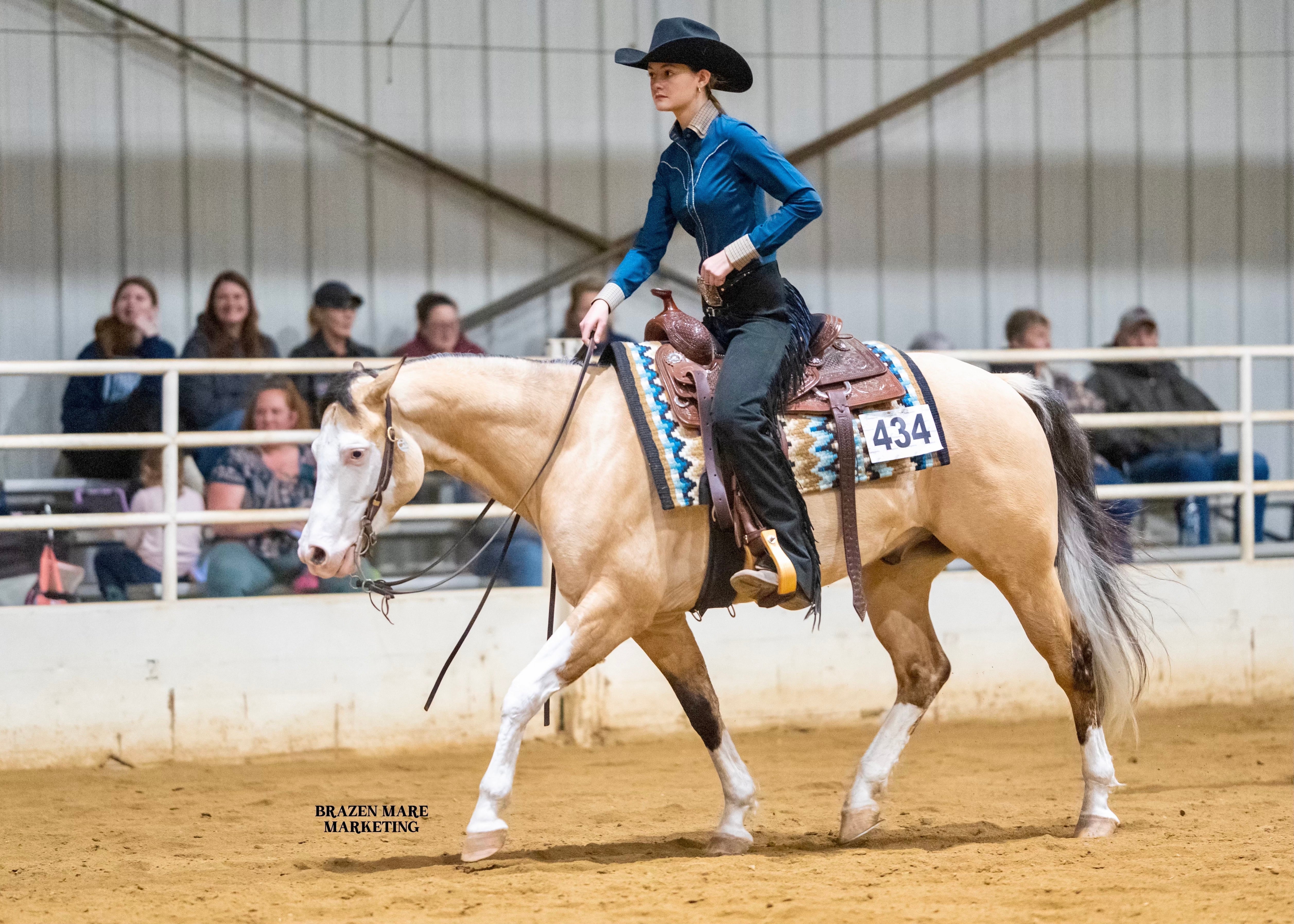 From a 2% Chance of Survival to the Show Pen: Maverick's Incredible Comeback Story (By Darci Jordan)
