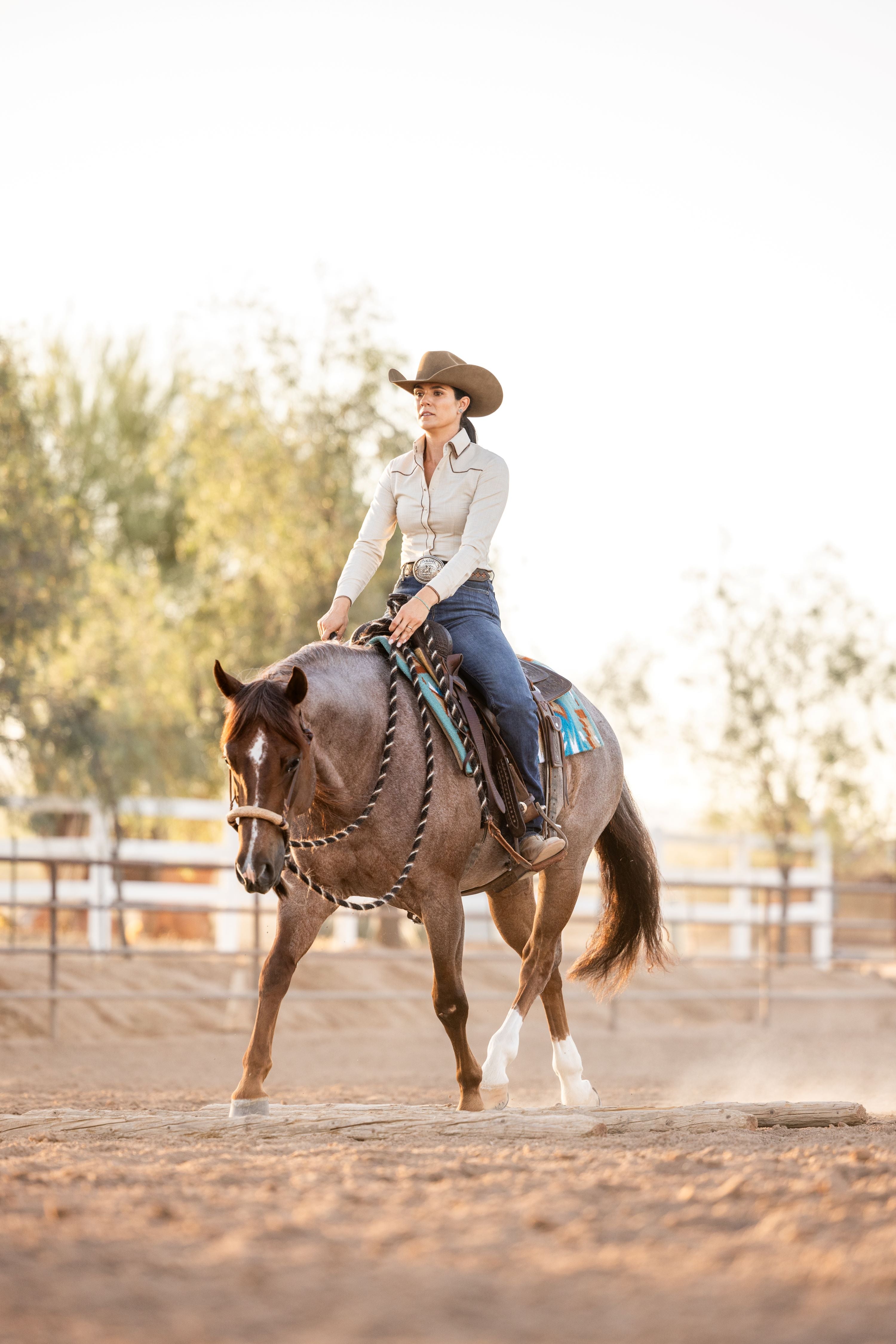 Alice International Western M441 Coiffe d'équitation en cuir haut de Alice International Western M441 Coiffe d'équitation en cuir haut de