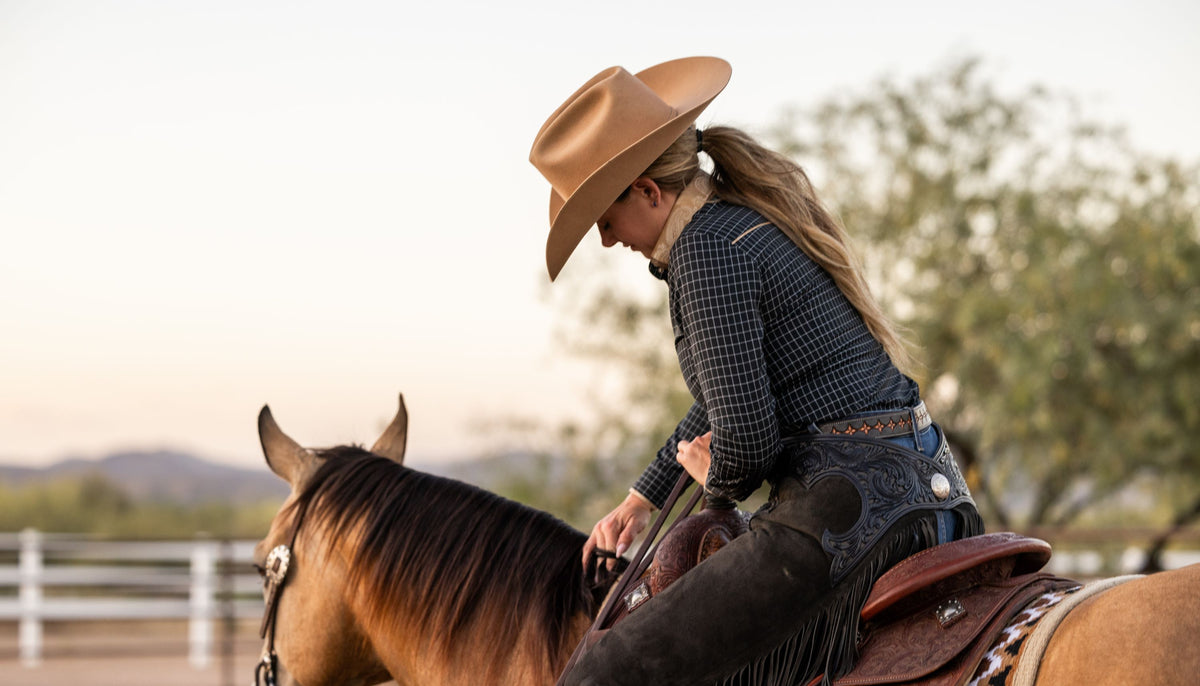 AD SADDLER Headstall, Breast Collar & Rênes Western Premium AD SADDLER Headstall, Breast Collar & Rênes Western Premium